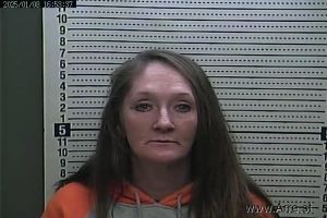 Tonya Hill Arrest Mugshot