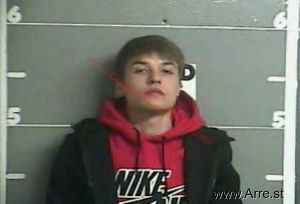 Travis Lamb Arrest Mugshot