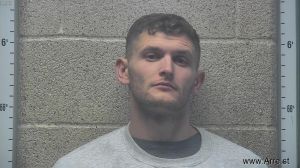 Trevor Willis Arrest