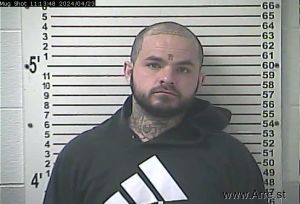 Tyler Morgan Arrest Mugshot