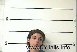 Tara Leigh Salvino  Arrest