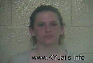 Teresa Kaye Alcorn  Arrest Mugshot