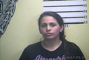 Vanessa Figueroa Arrest Mugshot