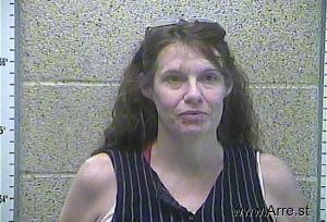 Vicki Leistner Arrest Mugshot