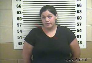 Wendi Cook Arrest Mugshot