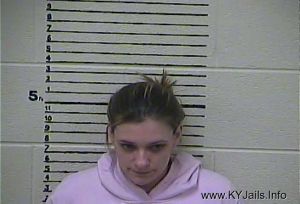 Wendy Broyles   Arrest Mugshot