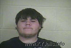 William Thomas Despain Ii  Arrest