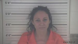 Yanara Nunez Manrresa Arrest Mugshot