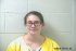 AMANDA HOLINDE Arrest Mugshot Davies 2017-03-21