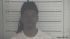 DAVONTAY WHITE Arrest Mugshot Campbell 2024-05-21