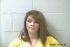 JESSICA BALLIS Arrest Mugshot Davies 2017-06-28