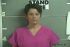 LAURA BROWN  Arrest Mugshot Ohio 2017-05-31