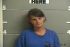 SELINA HAMILTON Arrest Mugshot Ohio 2016-06-14