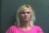 Theresa Lewis Arrest Mugshot Boone 4/4/2014