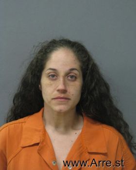 Amy Michelle Patin Mugshot