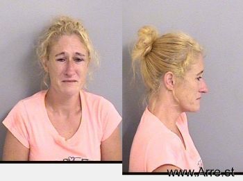 Anna Jean Wells Mugshot