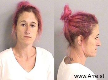 Anna Jean Wells Mugshot