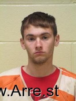 Brandon  Lewis Mugshot