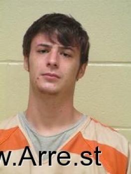 Brandon  Wells Mugshot