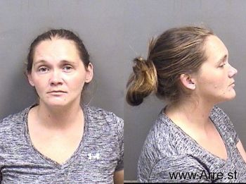 Bridget Renee Villnuve Mugshot