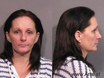 Cynthia Ann Burkett Mugshot