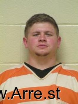 David  Olson Mugshot