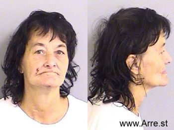 Dana Lisa Simmons Mugshot