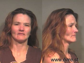 Debbie Lee Antley Mugshot