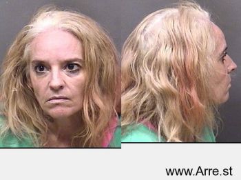 Diana Gail Ardoin Mugshot