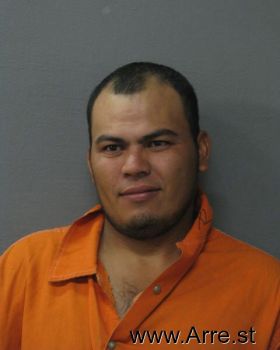 Elvin  Alvarado Mugshot