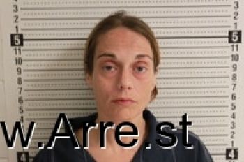 Erin Lorriane Johnson Mugshot