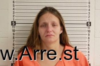 Heather Ann Turner Mugshot