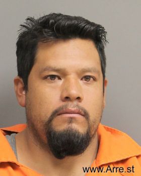 Jose  Padilla-rojas Mugshot