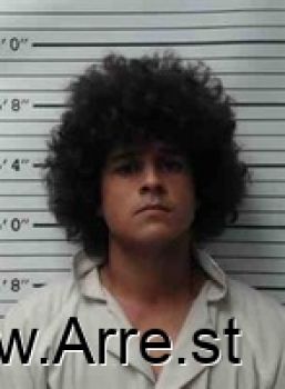 Joshua Nathan Perkins Mugshot