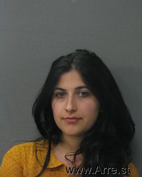 Julie Antonina Williams Mugshot