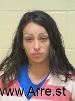 Julie  Perez Mugshot