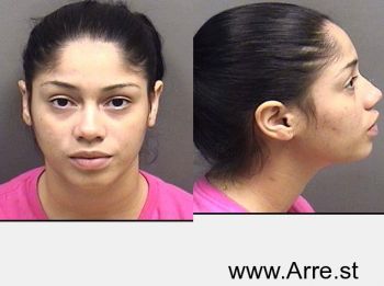 Karen C Nunez Mugshot