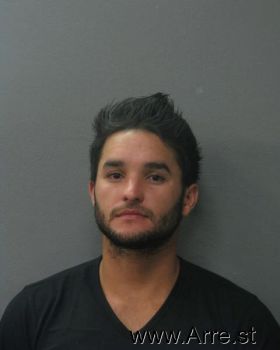 Luis Angel Rosabal-rizo Mugshot