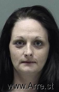 Lee Ann Henning Mugshot