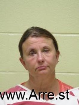 Lisa  Johnson Mugshot