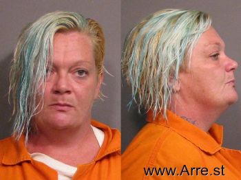 Lisa Louise Smith Mugshot