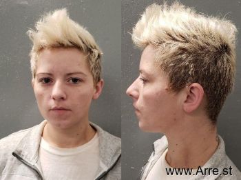 Lorie E Johnson Mugshot