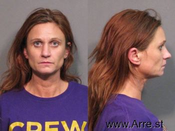 Michele Denise Johnson Mugshot