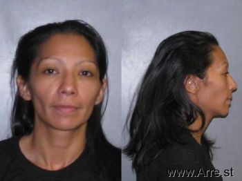 Michelle Ann Aleman Mugshot