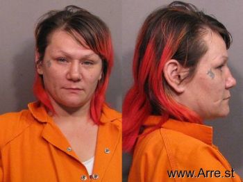 Michelle Marie Hayes Mugshot