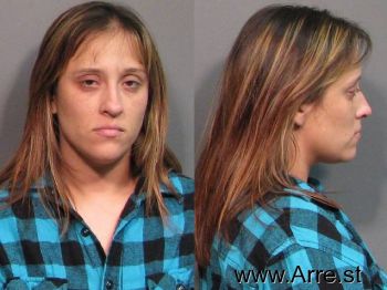 Michelle Lynn King Mugshot