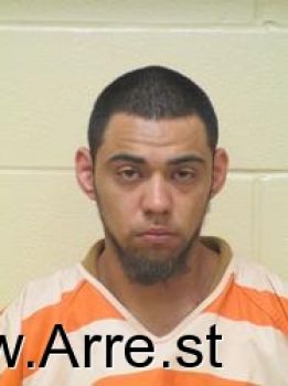 Richard  Gonzales Mugshot