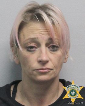 Sarah L Roberts Mugshot