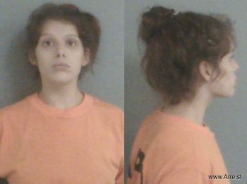 Sarah Elizabeth Holloway Mugshot