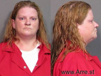 Tina Lynn Johnson Mugshot